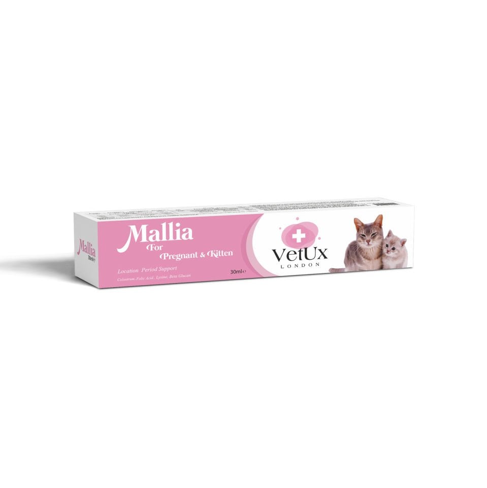 Mallia Malt - Pregnant&Kitten