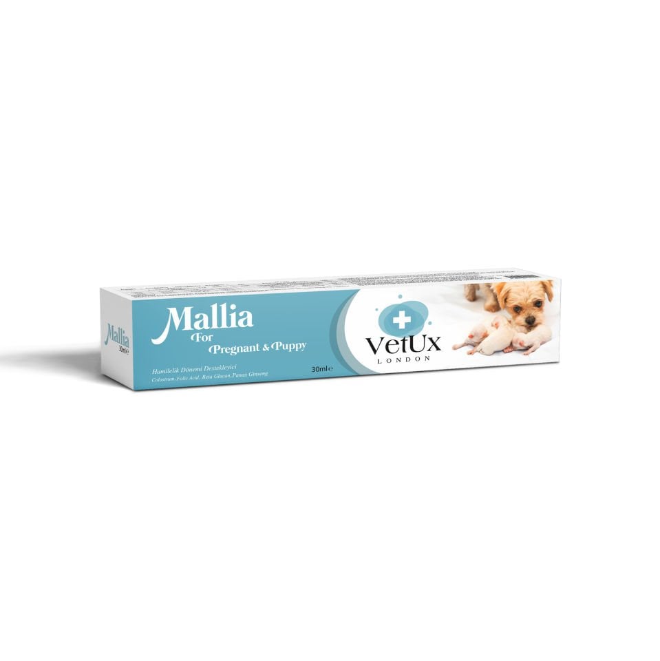 Mallia Malt - Pregnant&Puppy